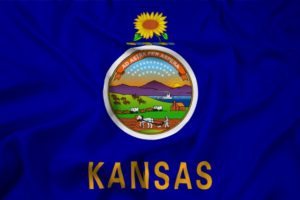 Waving Kansas State Flag