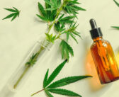 New Study Provides Information on the Impact of CBD on Consumer’s Health