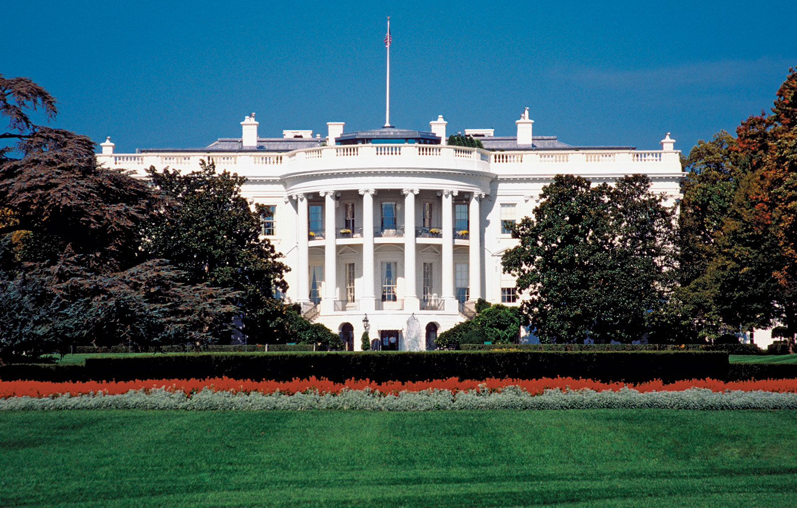 White House Creates Permanent Pandemic Preparedness Office - Aimed Alliance